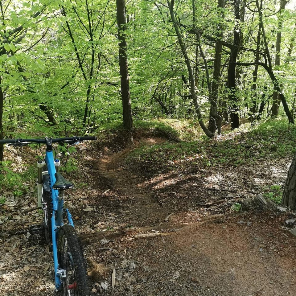Spring, Cycling