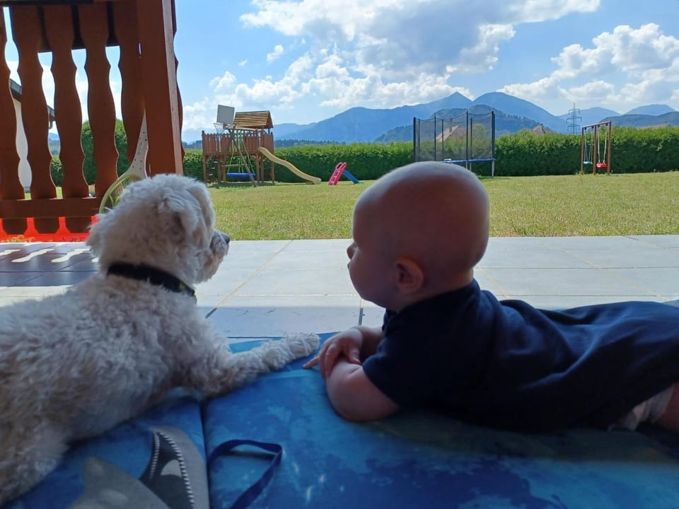 Natural landscape, Children play ground, Garden, Pets, Mountain view, children