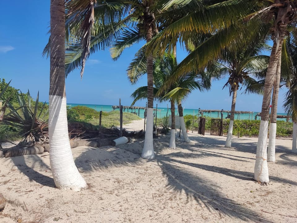 Beach, Sea view
