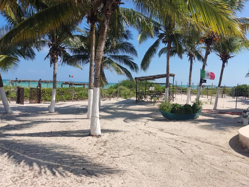 Beach, Sea view