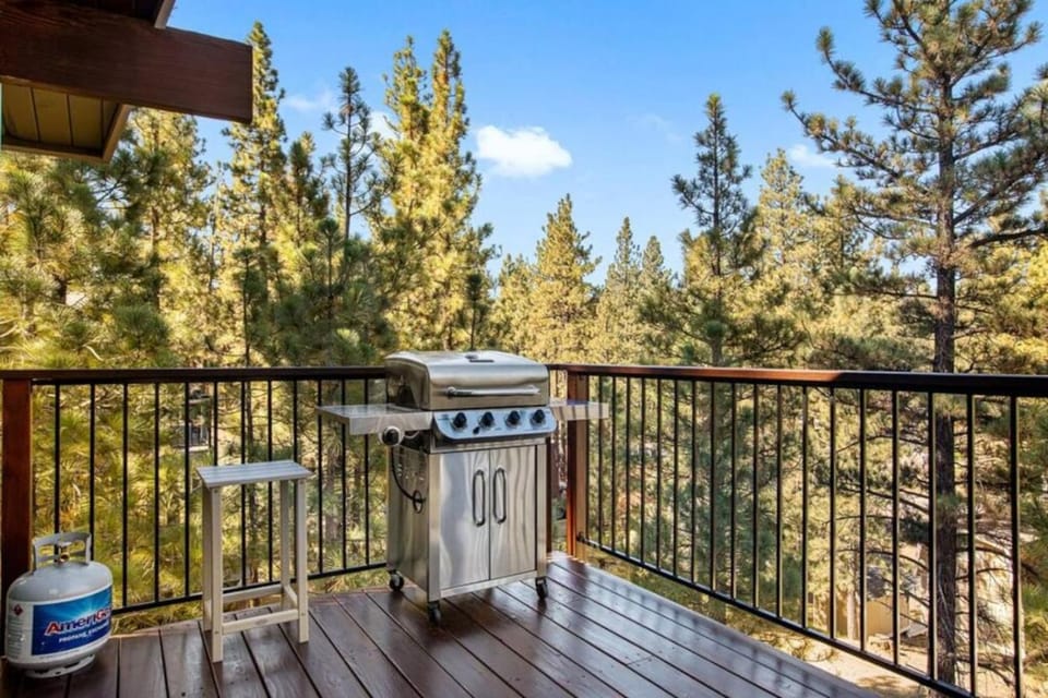 Misty Tree Top Chalet House in Big Bear