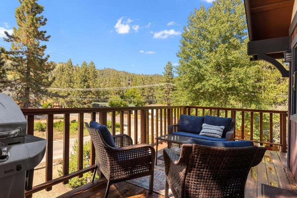 Double Black Diamond House in Big Bear