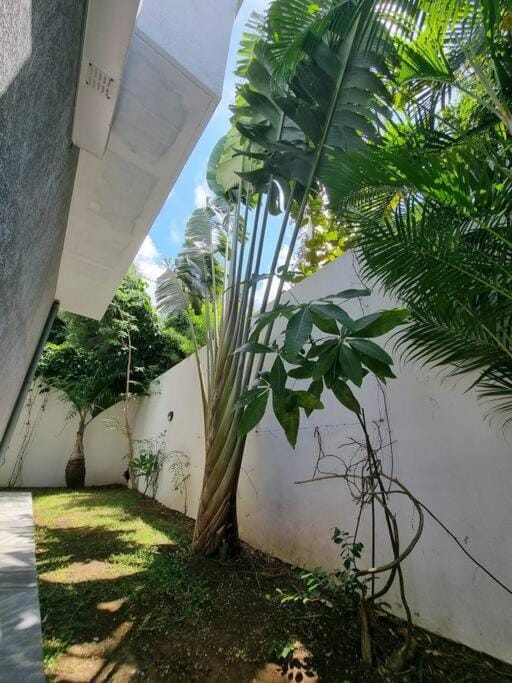 Garden, Garden view