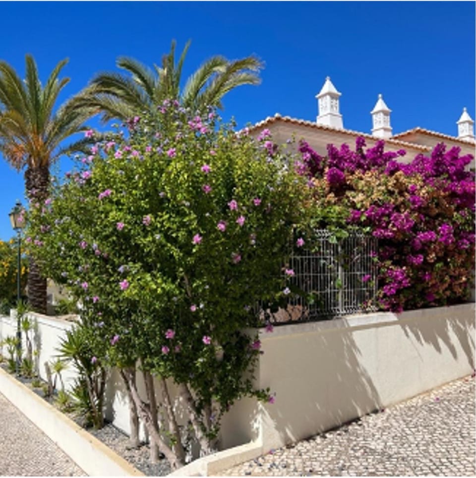 Property building, Spring, Day, Garden, Garden view