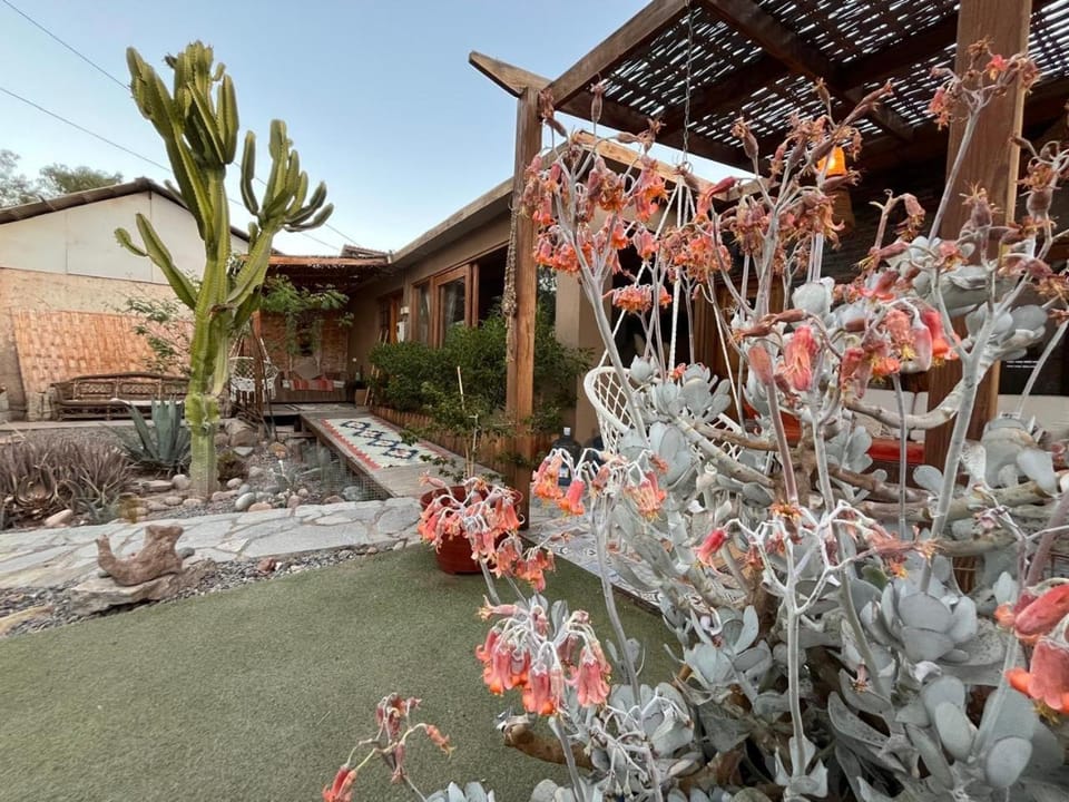 Property building, Garden view