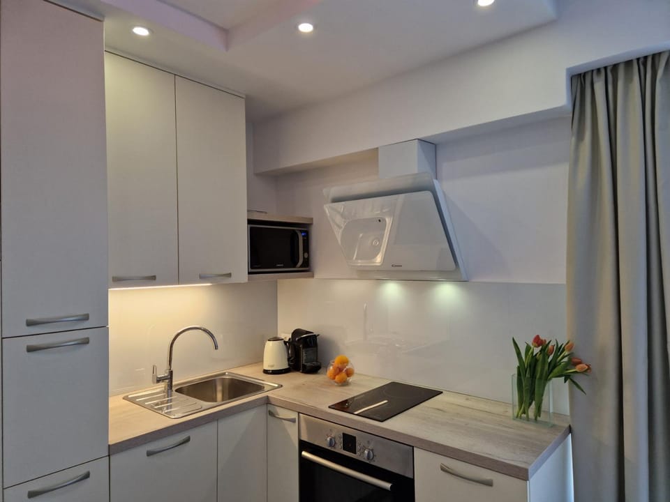 Kitchen or kitchenette, minibar, pet friendly, stove