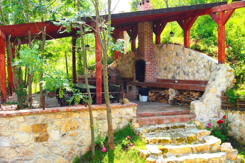 Pensiunea Casa Dacilor Bed and Breakfast in Cluj County