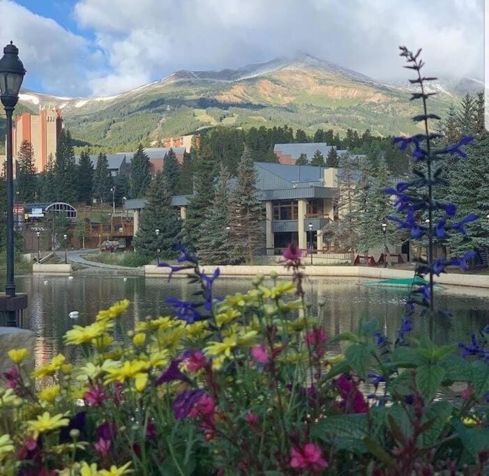 Hyatt Residence Club Downtown & steps to Peak 9 House in Breckenridge