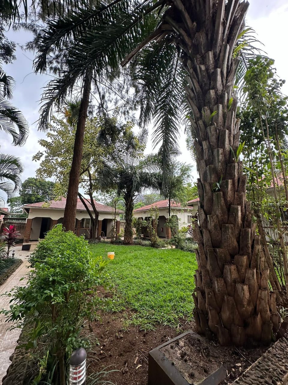 Garden, Garden view