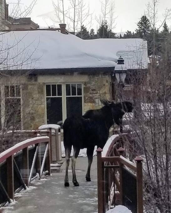 Hyatt Residence Club Main Street Station House in Breckenridge