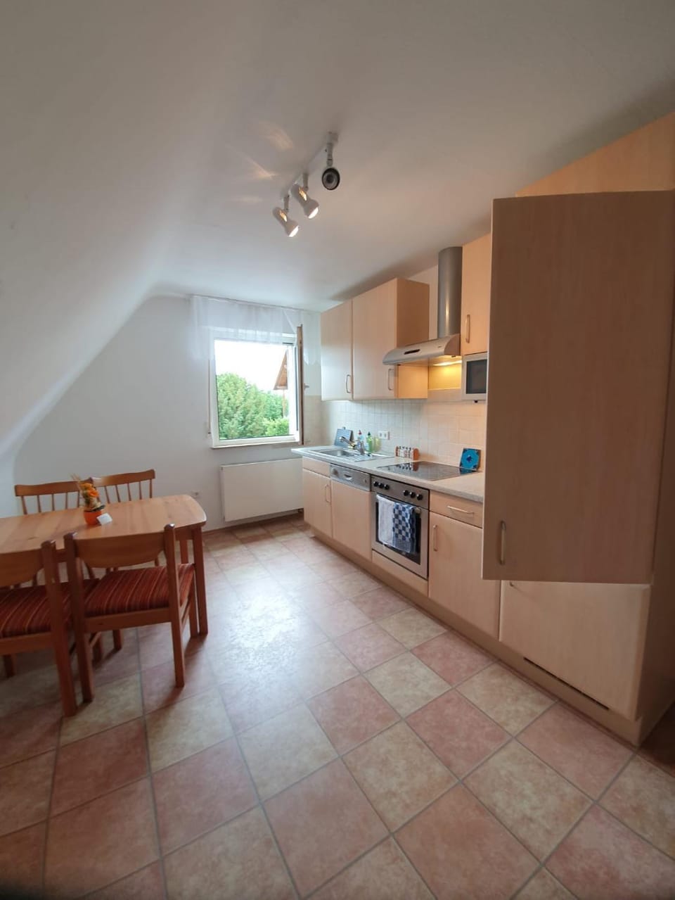 Kitchen or kitchenette, Dining area, dishwasher, minibar, pet friendly, stove