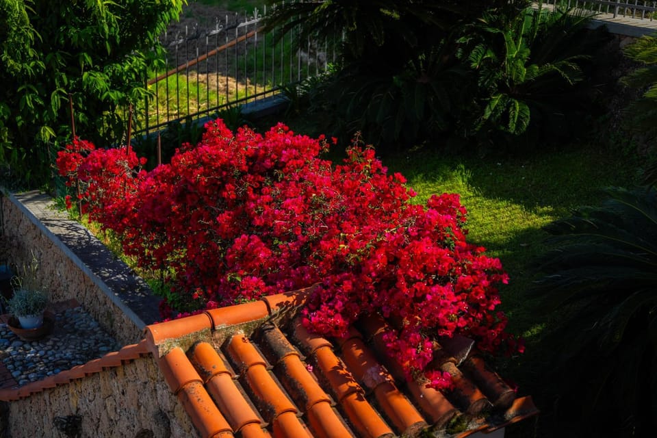 Villa Mafalda Bed and Breakfast in Pietra Ligure