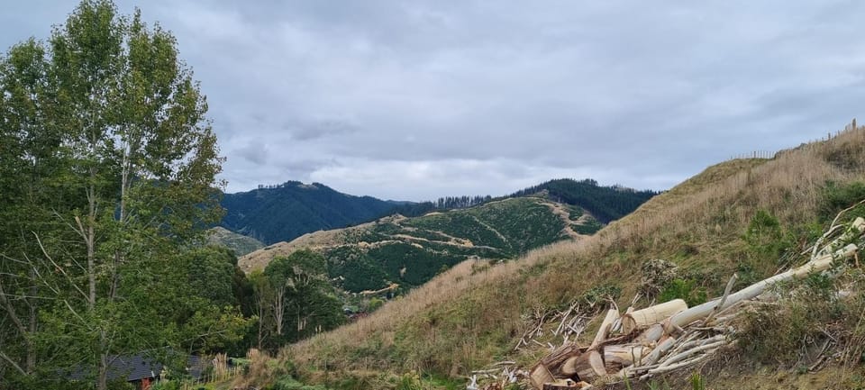 Mountain view