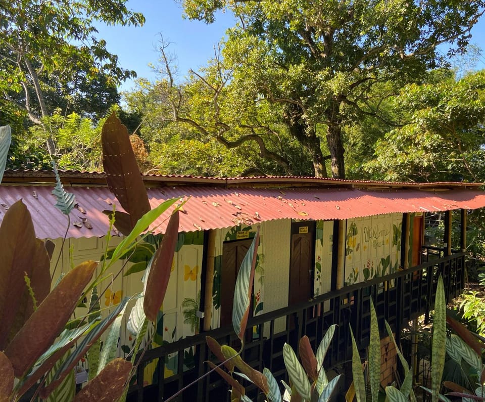 Facade/entrance, Garden, View (from property/room)