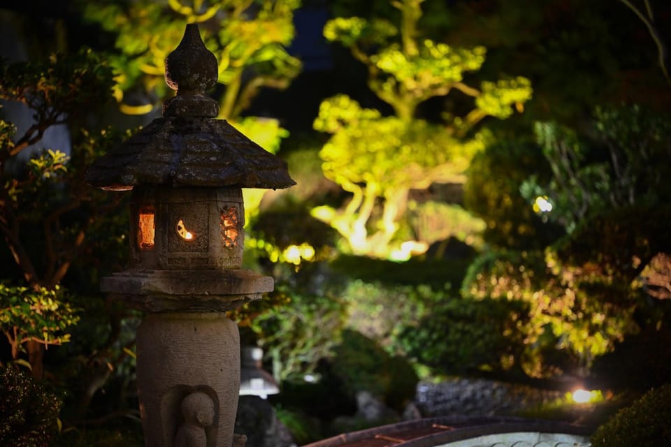 Night, Garden, Garden view