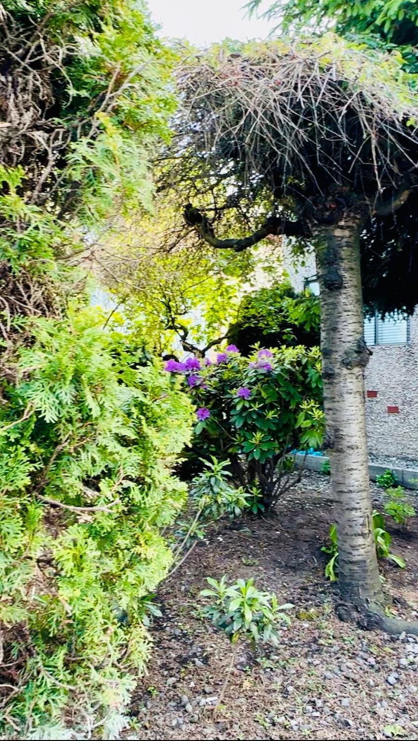 Spring, Day, Natural landscape, Garden, Garden view