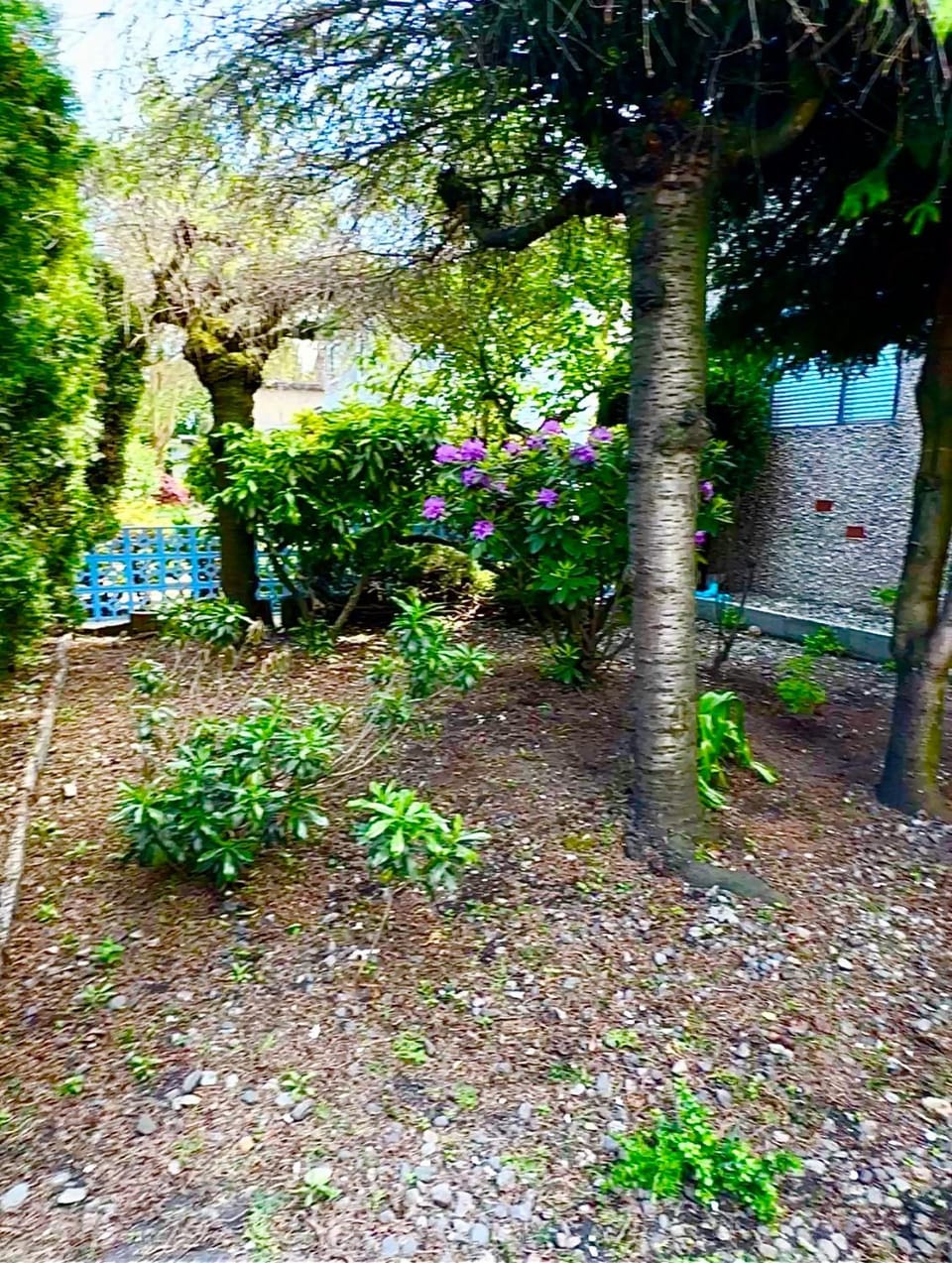 Spring, Garden, Garden view