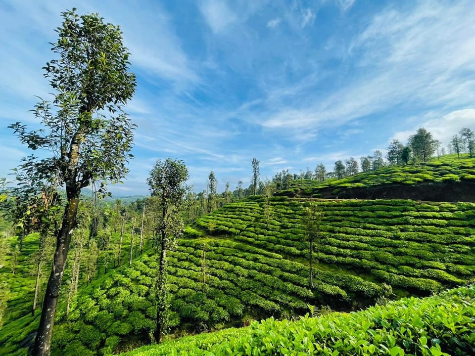 PEARL HUT home stay vythiri Wayanad Villa in Kerala