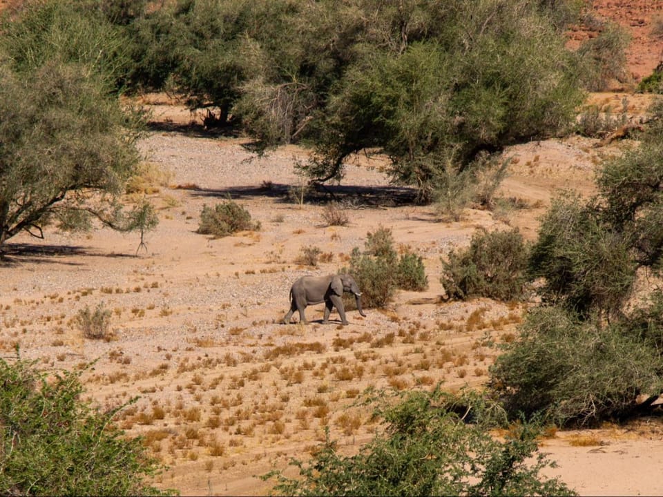 Natural landscape, Animals, River view