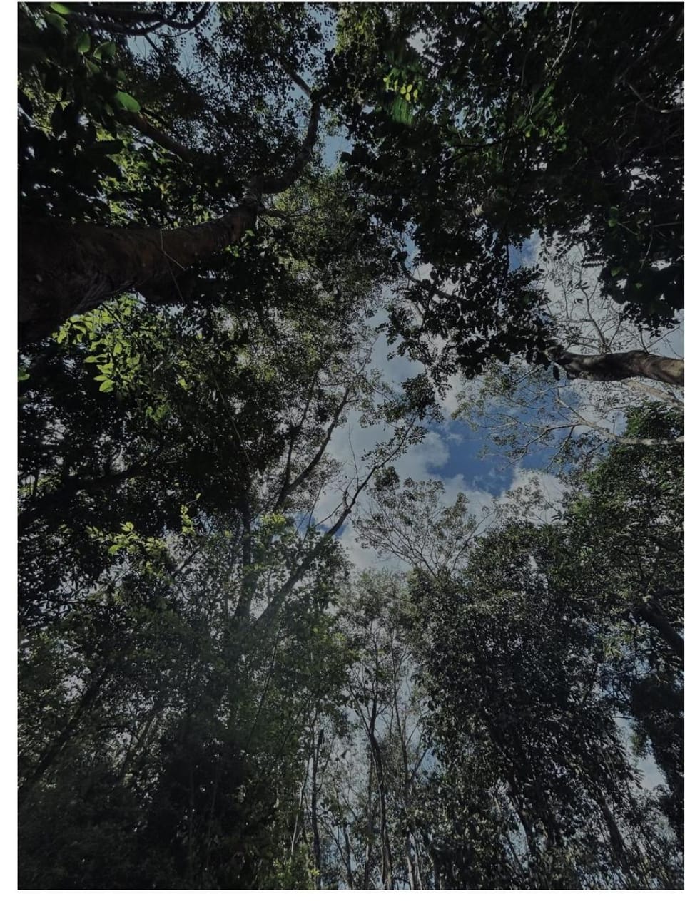 Natural landscape