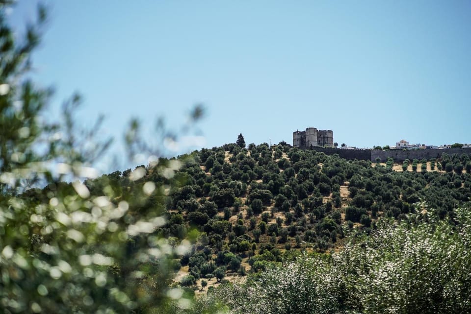 Off site, Mountain view