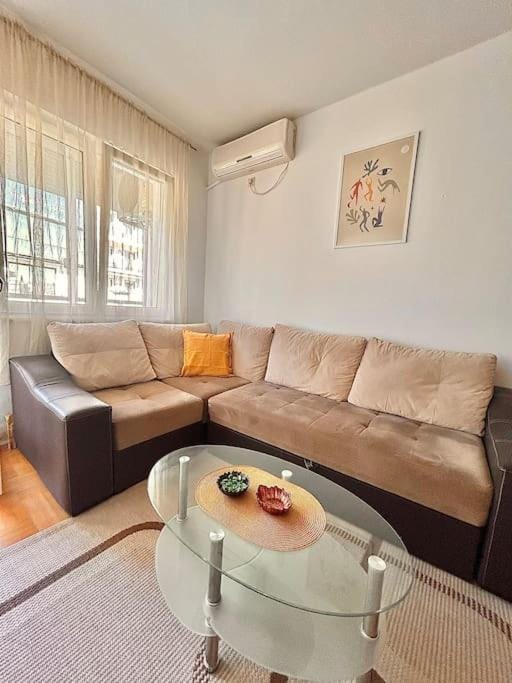 Cozy, charming one bedroom apt Apartment in Podgorica