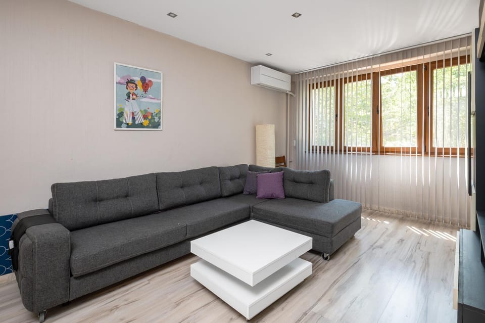 Living room, Seating area, air conditioner
