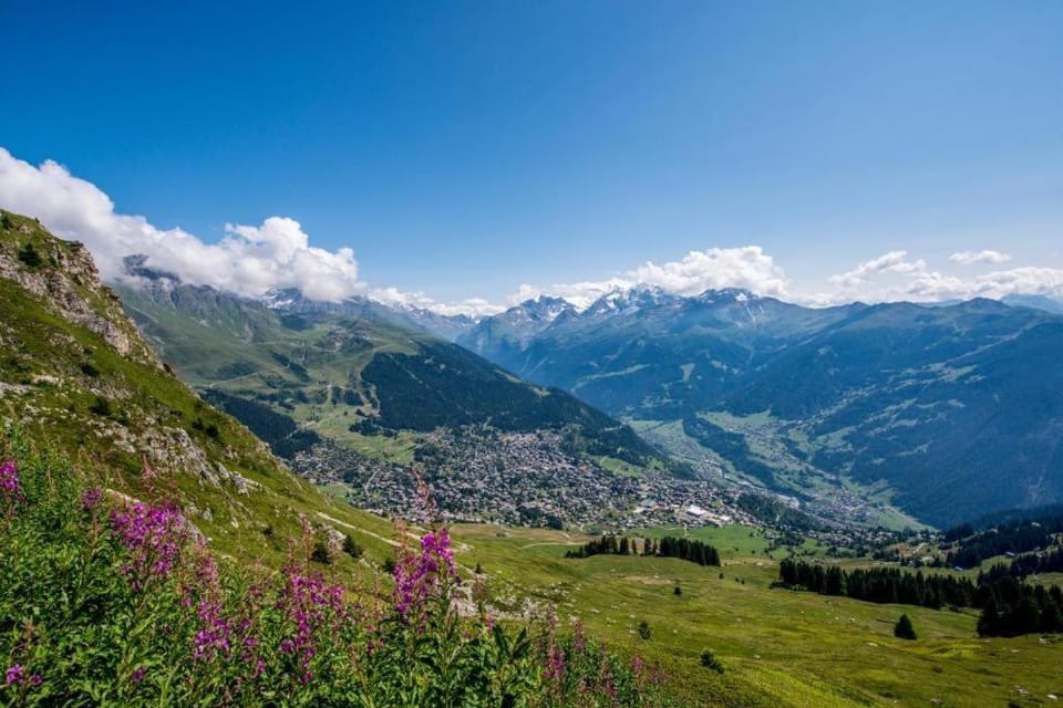 Natural landscape