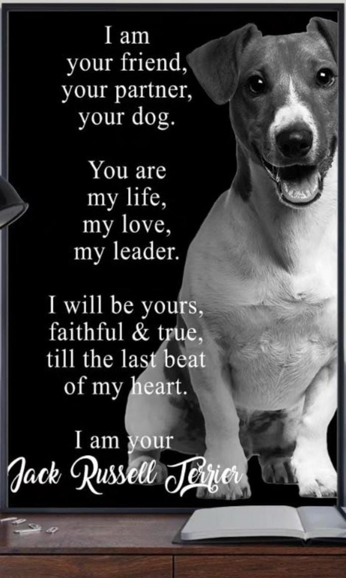 Mono DD CHECKIN A RICHIESTA Apartment in Emilia-Romagna