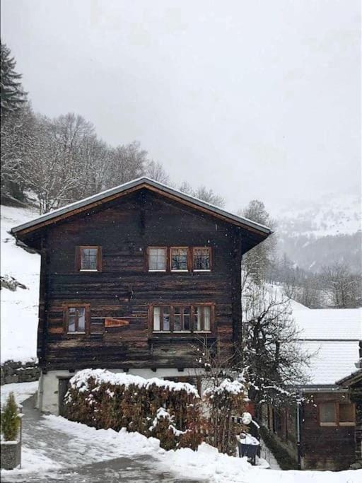 Property building, Mountain view