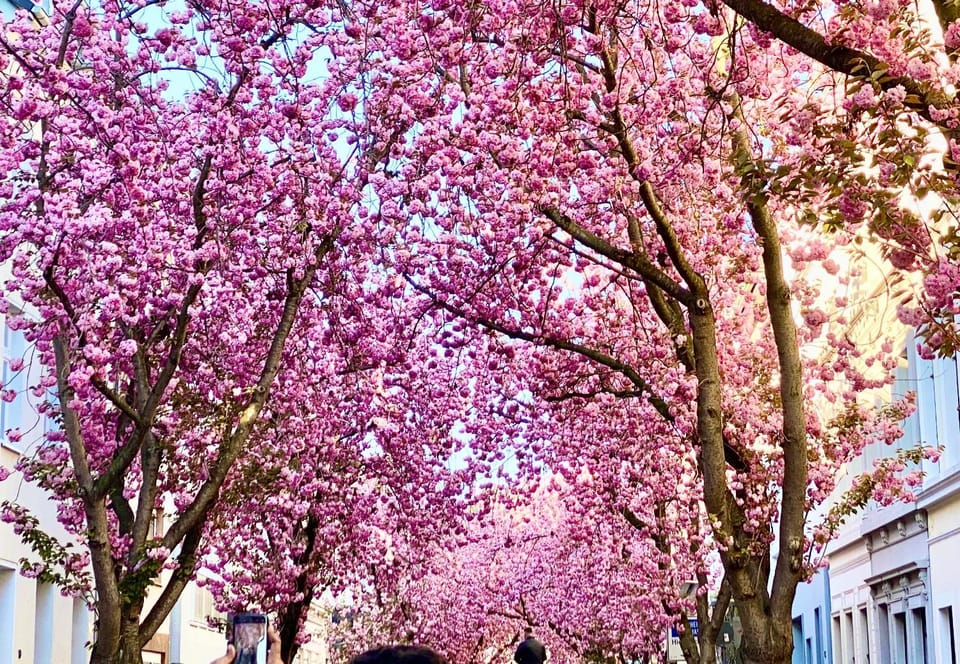 Nearby landmark, Spring, Natural landscape