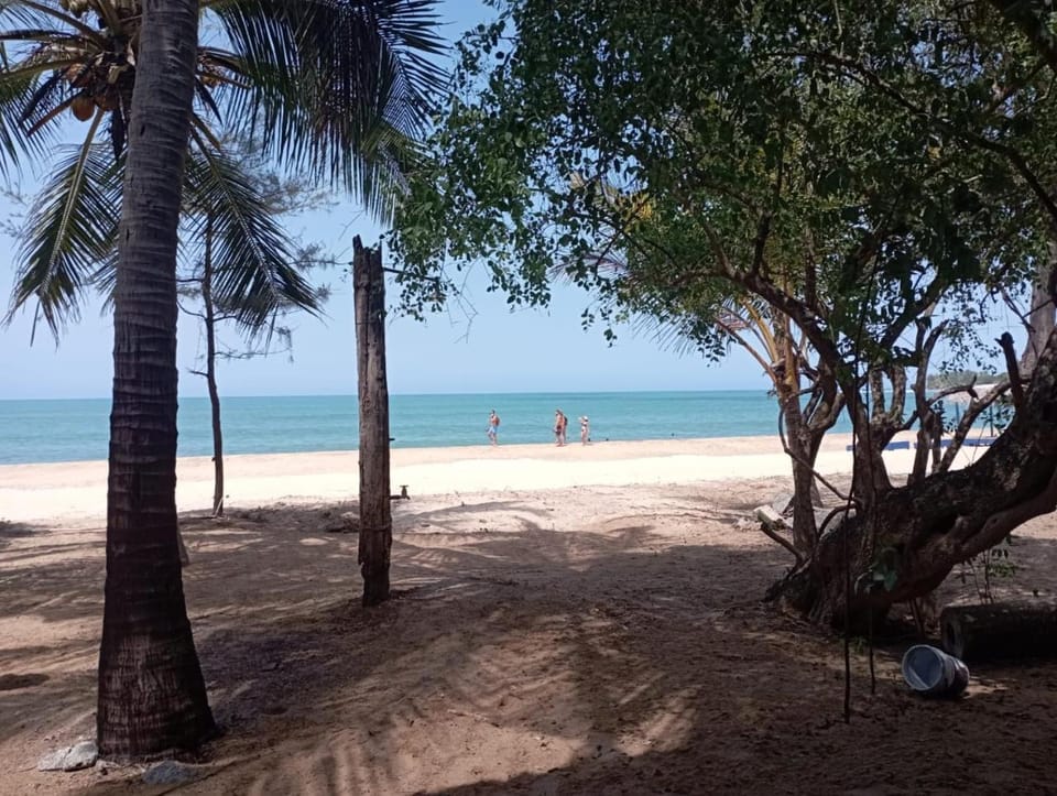 Natural landscape, Beach, Sea view