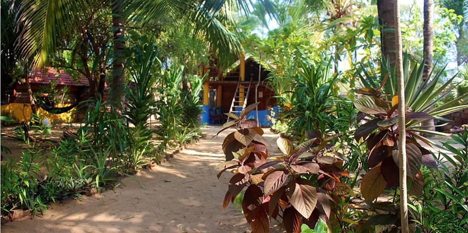 Natural landscape, Garden, View (from property/room), Garden view