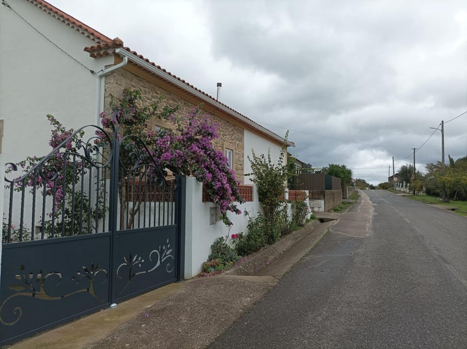 Property building, Street view