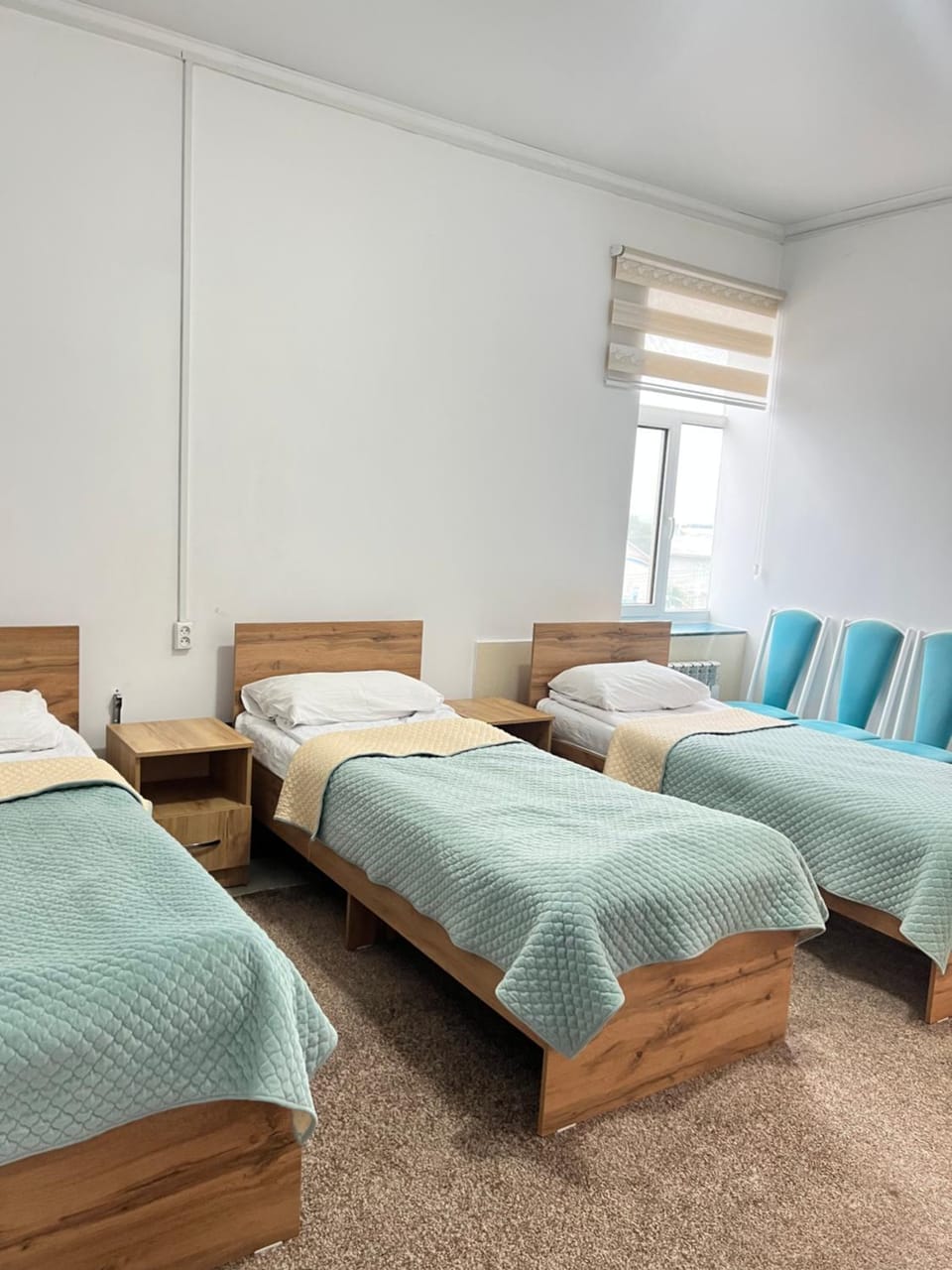 Sayak hotel & hostel Hostel in Almaty Region, Kazakhstan