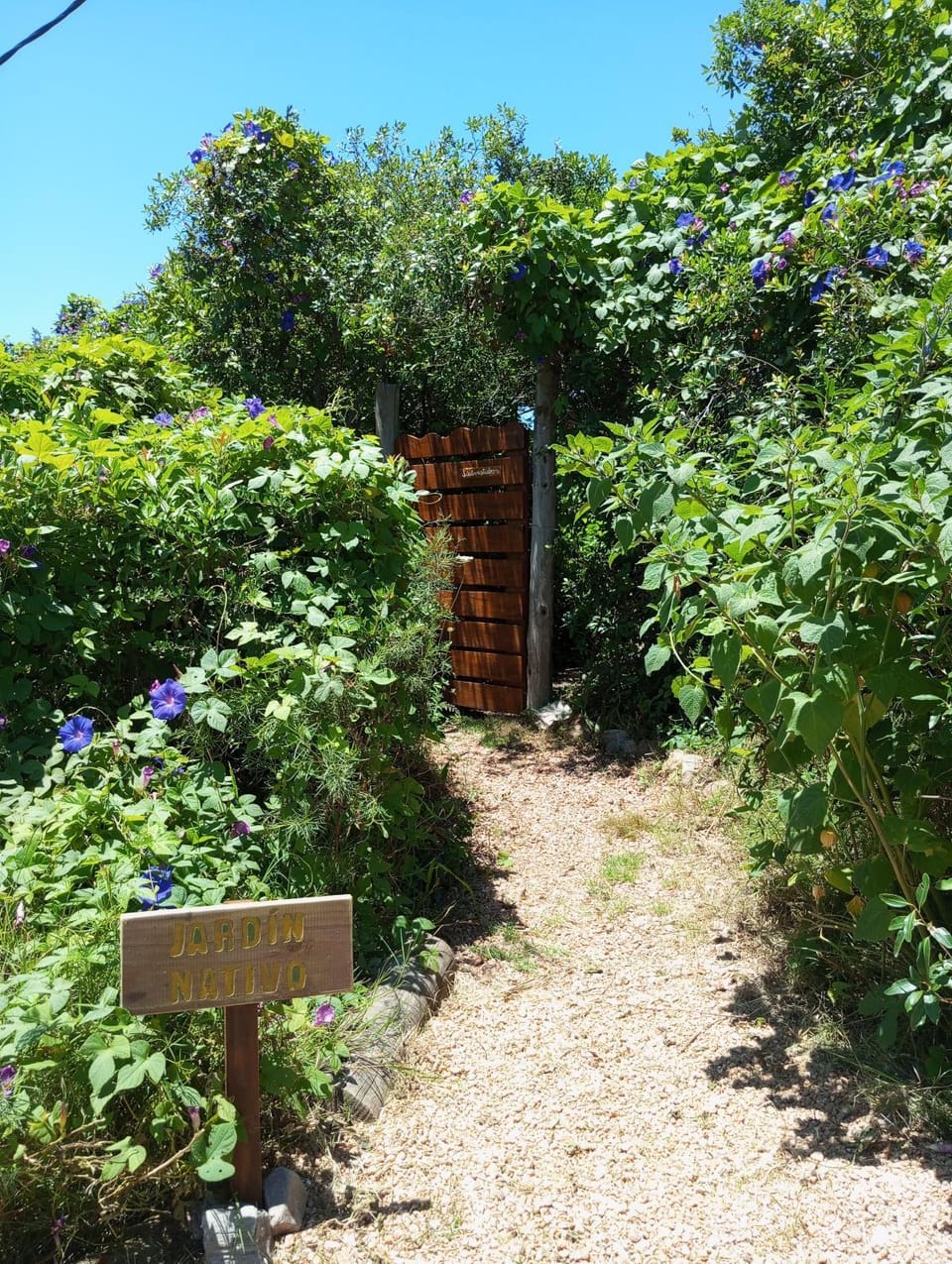 Facade/entrance, Garden, Garden view