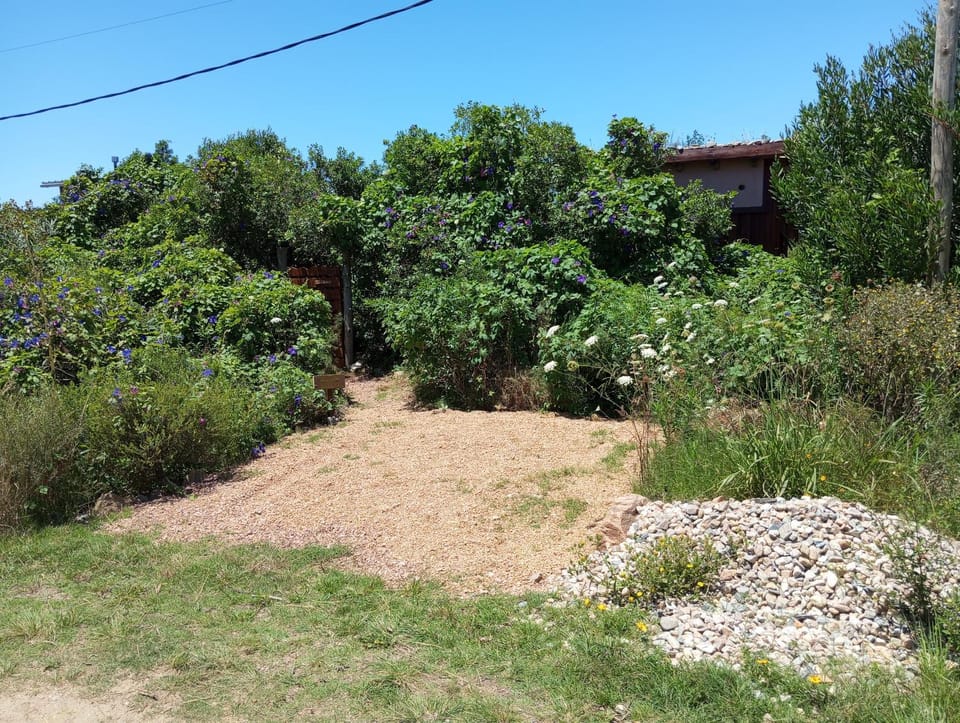 Natural landscape, Garden, Parking