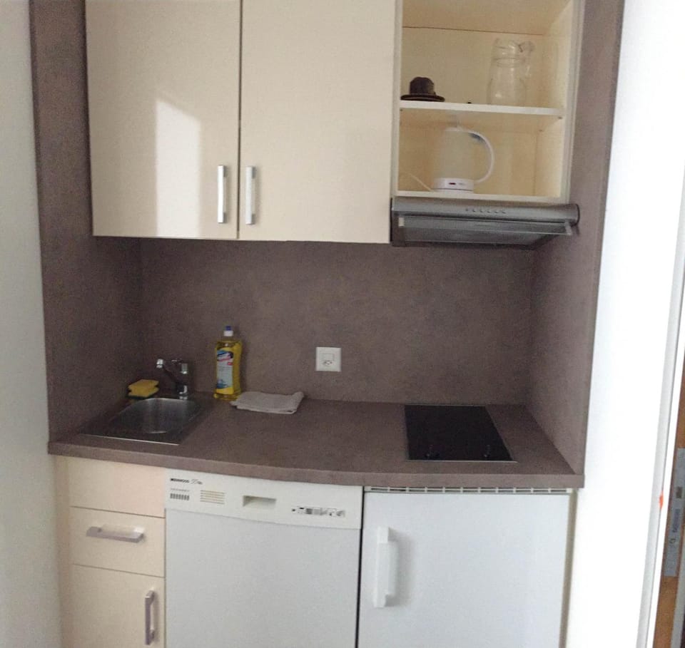 Kitchen or kitchenette, dishwasher, stove, kitchen