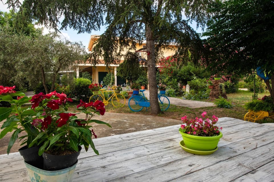 Garden view