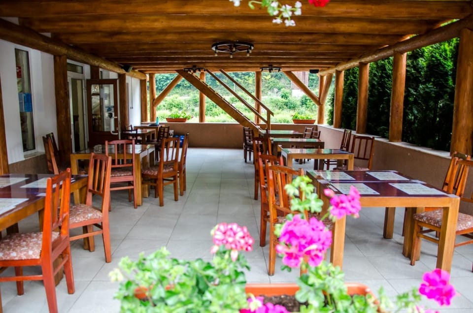 LaPociu Bed and Breakfast in Romania
