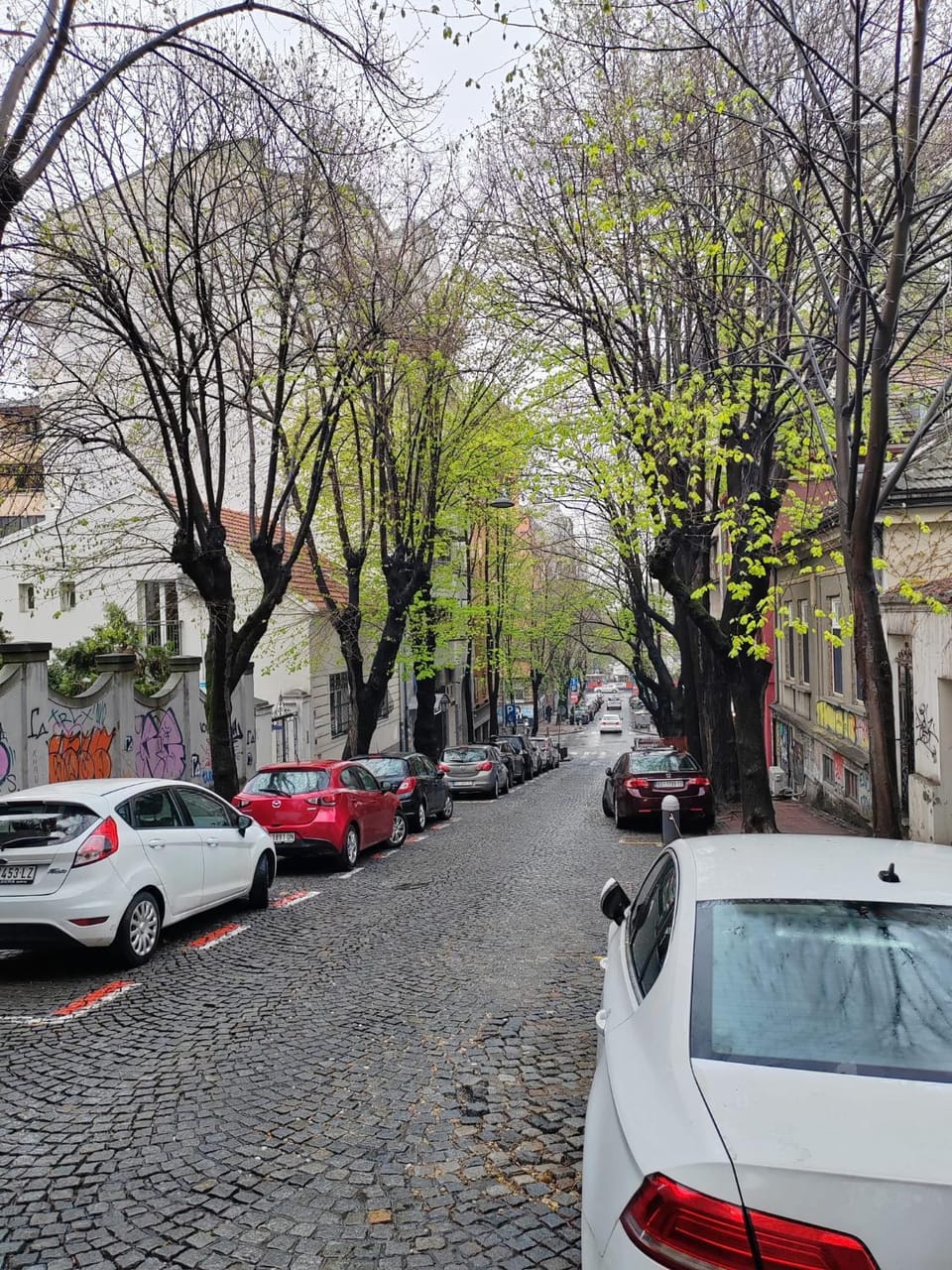 Belgrade Square Apartment Apartment in Belgrade