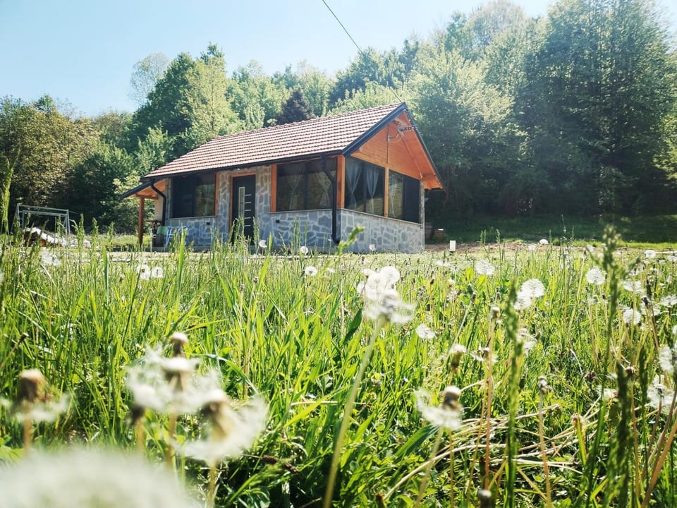 Imanje House in Serbia