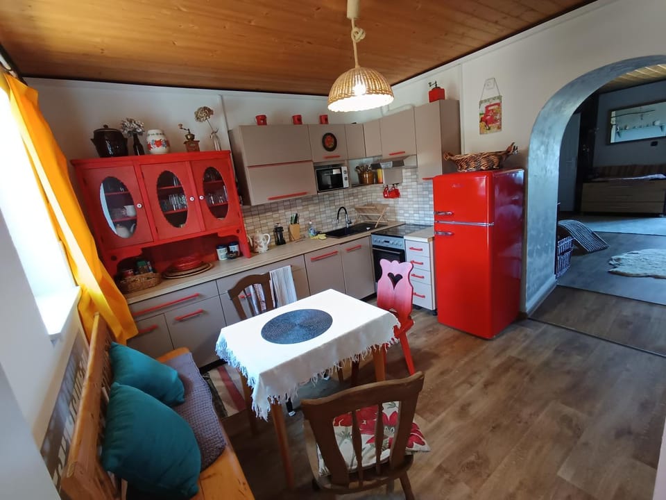 Kitchen or kitchenette, kitchen