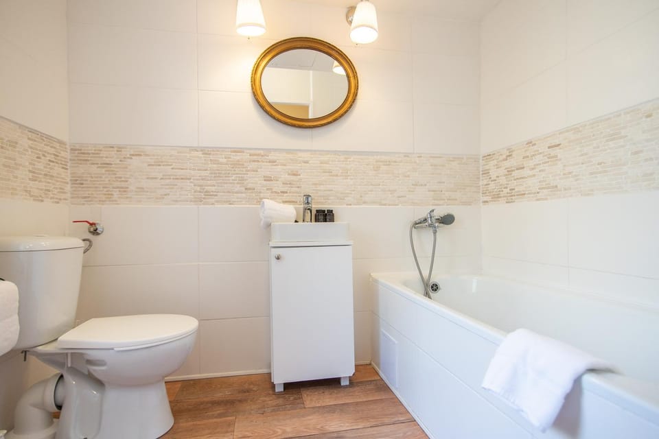 Nice room with double bed in zizkov - shared bathroom Vacation rental in Prague