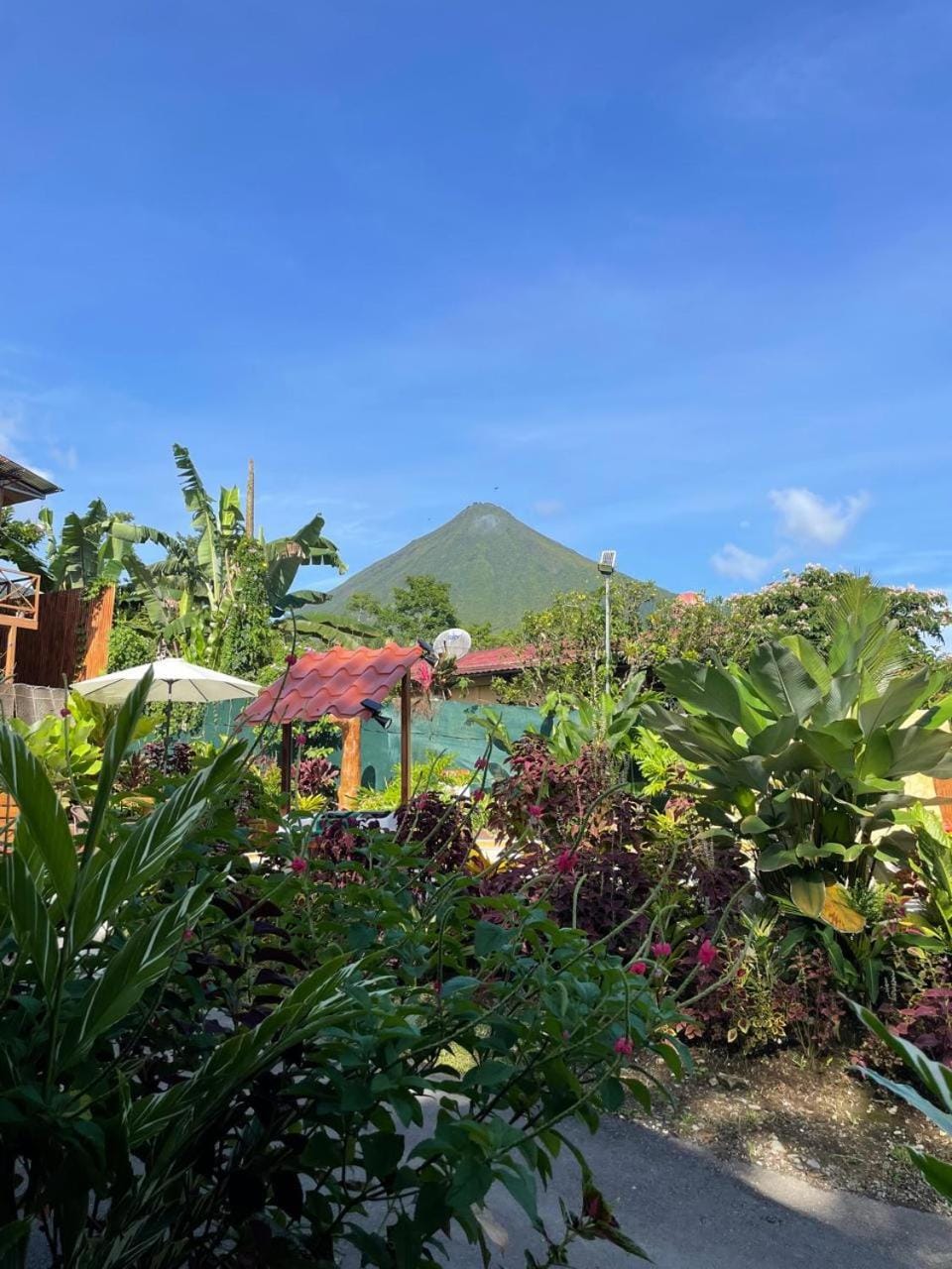 Garden, Garden view, Mountain view, Swimming pool