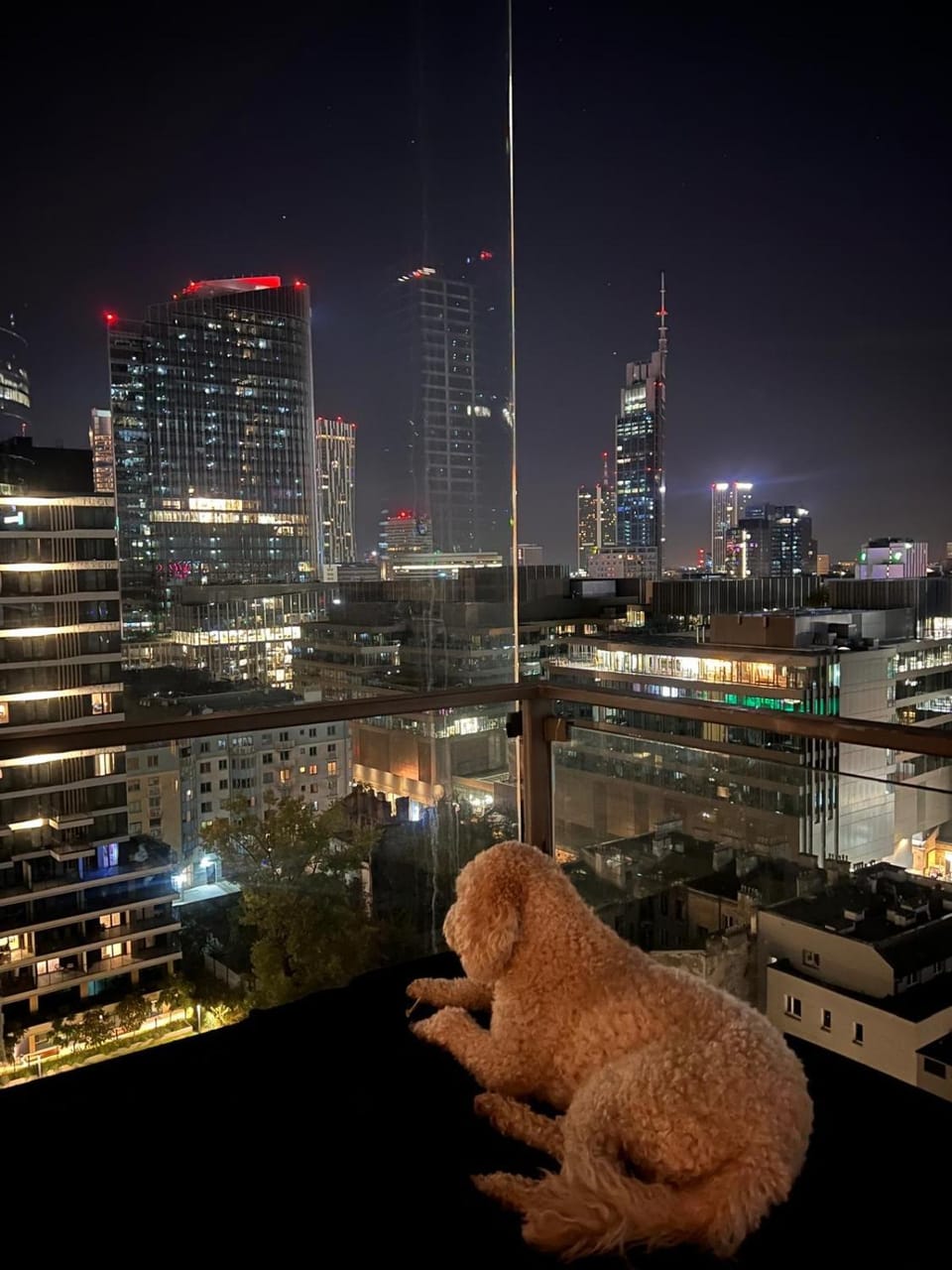 Black Pearl - Amazing City View, 130 sqm Apartment in Warsaw