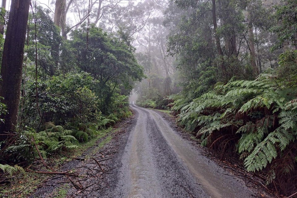 Red Rocks Mountain Retreat, Browns Mountain, Kangaroo Valley House in Kangaroo Valley