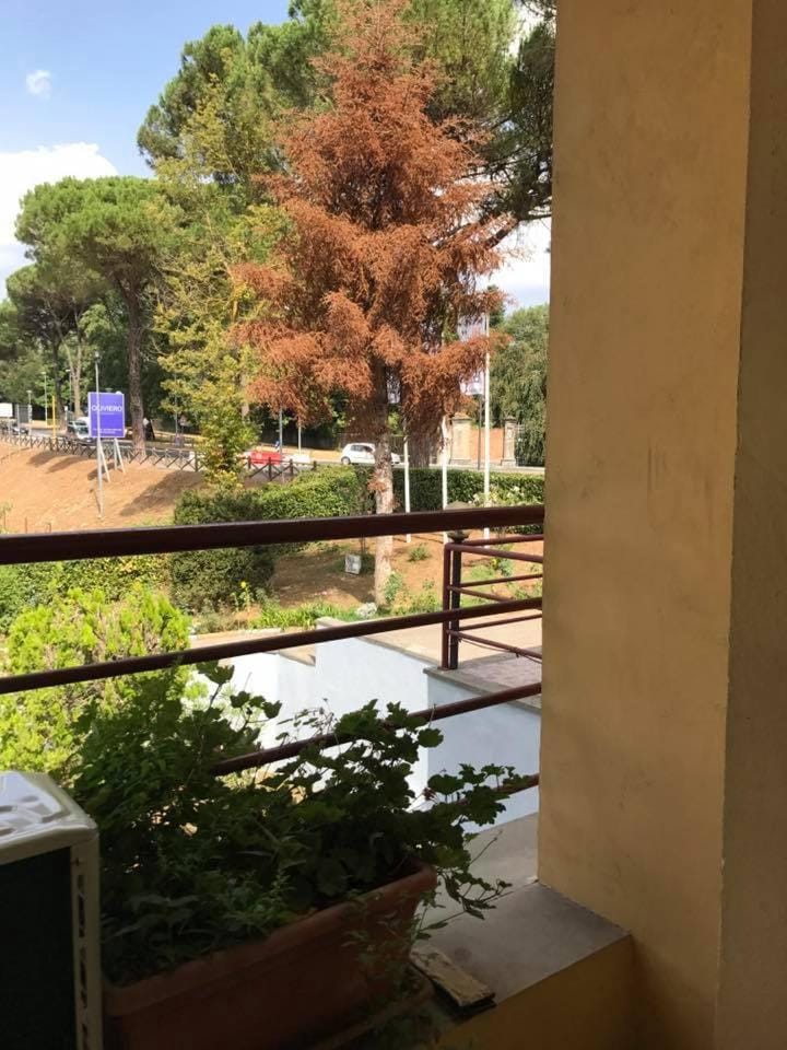 Hotel Ebe Hotel in Tuscany
