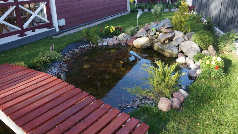 Day, Summer, Garden, On site, Area and facilities