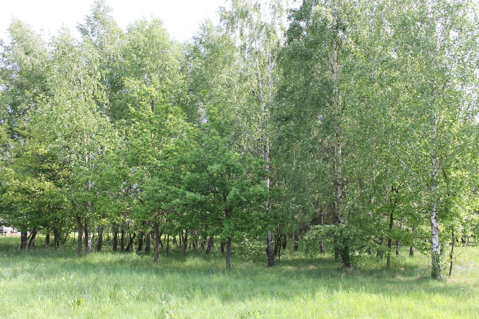 Spring, Off site, Day